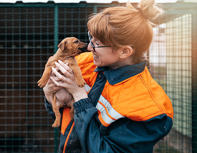 Girl holding puppy