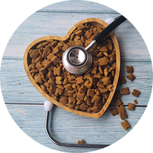 Program Services Application - Image