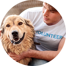 Volunteer Application - Image