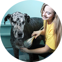 Youth Council Application - Image