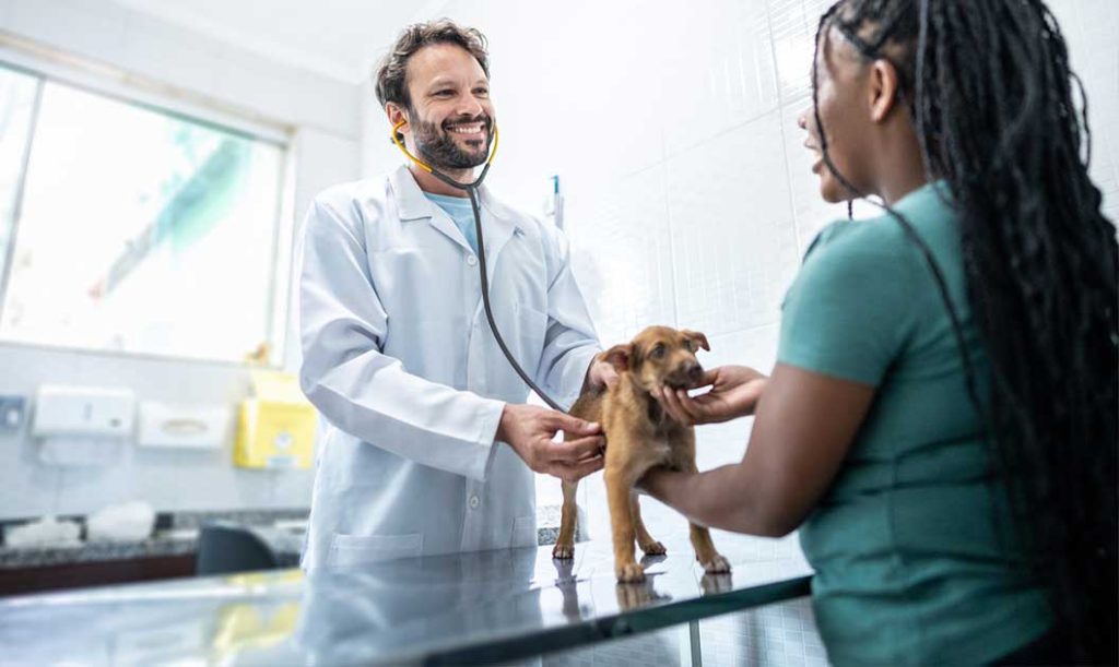 Low cost deals vet clinics