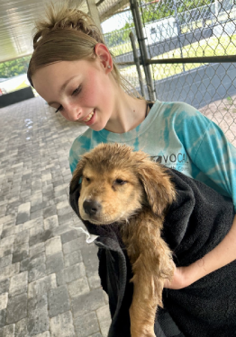 Youth volunteer holding puppy in a towel