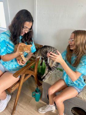 Two youth volunteers with kittens