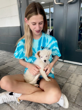 Youth volunteer sitting with small dog