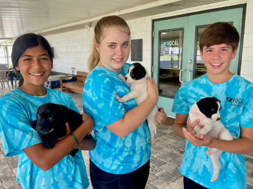 Three youth volunteers holding puppies