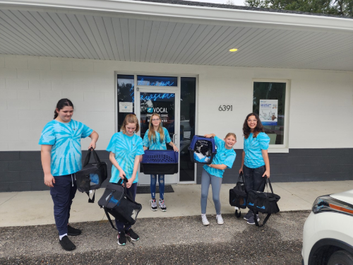 Youth council volunteers with pet carriers