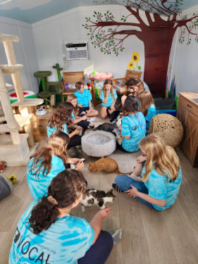 Group of youth council volunteers sitting in a circle with cats