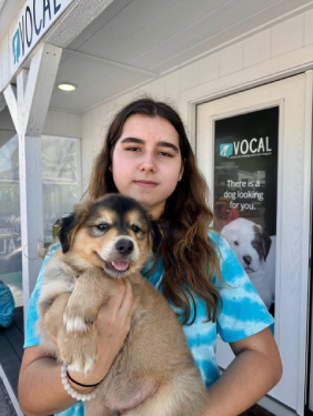 Youth volunteer holding a puppy by the front door