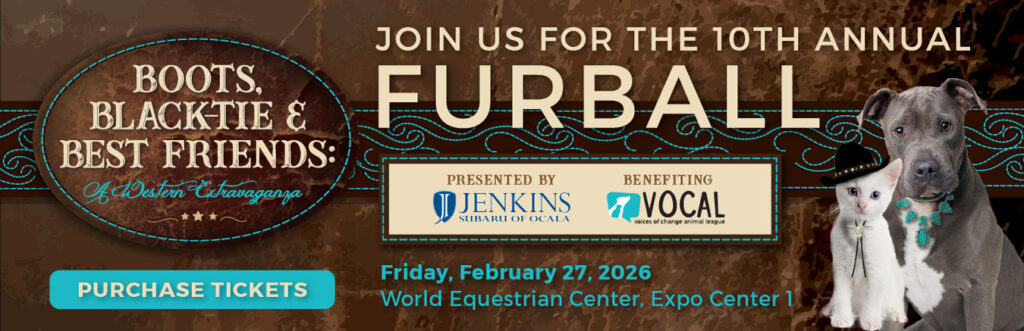 Join Us for the 10th ANnual Furball Event Banner