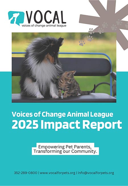 VOCAL - CC - PDF Covers_0000_Impact Report 2025_Page_01