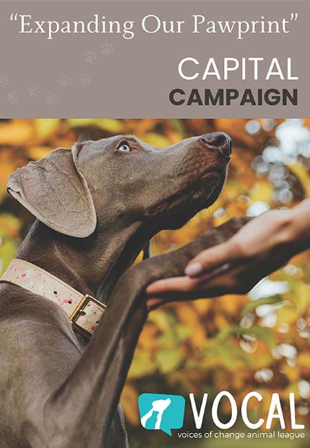 VOCAL - CC - PDF Covers_0001_Final Version Expanding Our Pawprint Case Statement_Page_01